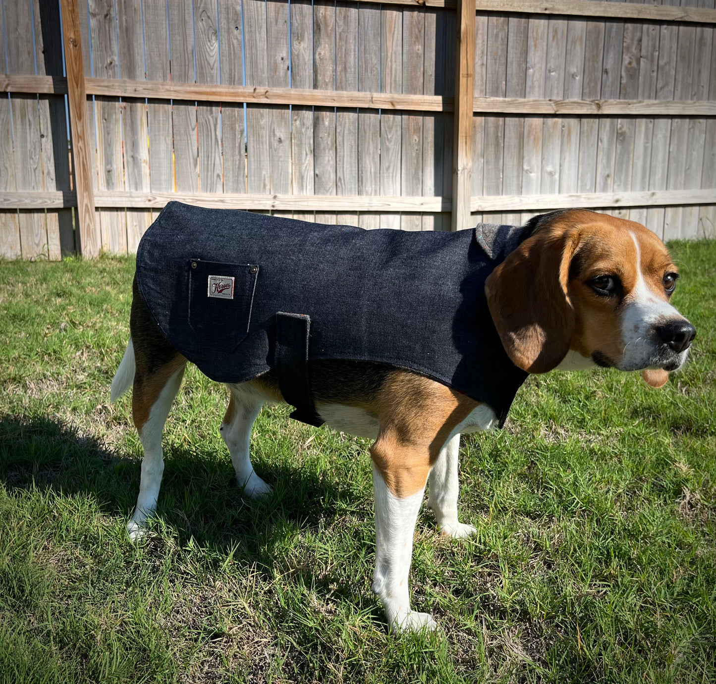 Dog Coat